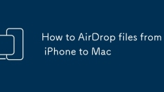 iPhone?? Mac?? ??? ???? ??
