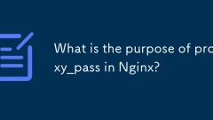 nginx에서 proxy_pass의 목적은 무엇입니까?