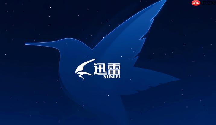 迅雷浏览器网页版入口官网 迅雷浏览器官网入口