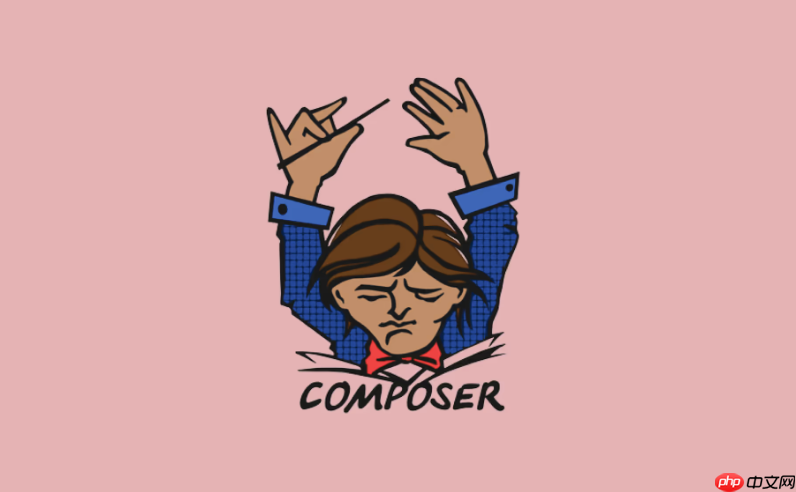 Composer如何查看某个包的详细信息_依赖包元数据查询指南