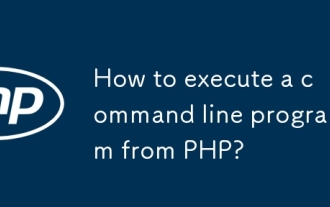Wie führe ich ein Befehlszeilenprogramm von PHP aus?