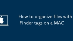 So organisieren Sie Dateien mit Finder -Tags auf einem Mac