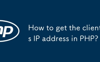 Wie bekomme ich die IP -Adresse des Clients in PHP?
