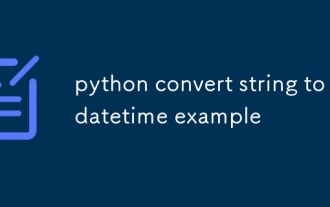 Python convertit la chaîne en exemple de datetime