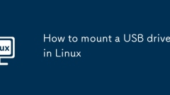 如何在Linux上安裝USB驅(qū)動(dòng)器