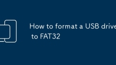 So formatieren Sie ein USB -Laufwerk zu FAT32