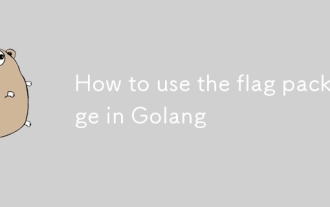 Golang에서 플래그 패키지를 사용하는 방법