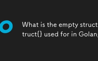 Golangで使用される空のstruct struct {}は何ですか