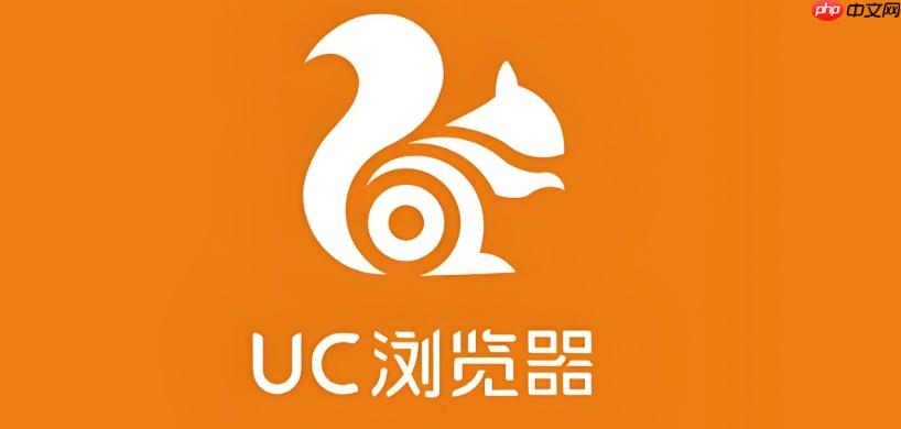 UC浏览器为什么不能下载应用_UC浏览器APK文件下载限制解除