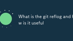Git Reflog는 무엇이며 어떻게 유용합니까?