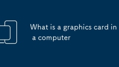 ???? ??? ??? ??????
