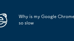 ? Google ??? ? ??? ????