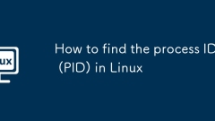 如何在Linux中找到過(guò)程ID(PID)