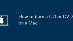 Wie man eine CD oder eine DVD auf einem Mac verbrennt