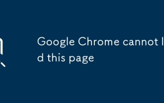 Google Chrome kann diese Seite nicht laden