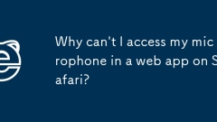 Warum kann ich in einer Web -App auf Safari nicht auf mein Mikrofon zugreifen?