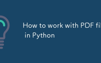Comment travailler avec les fichiers PDF dans Python