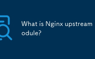 Was ist Nginx Upstream -Modul?