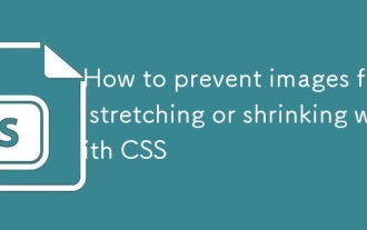 Comment empêcher les images de s'étirer ou de rétrécir avec CSS