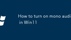 Cara Menghidupkan Audio Mono di Win11