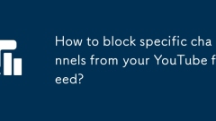 YouTube ???? ?? ??? ???? ??? ??????