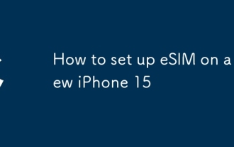??? iPhone 15?? ESIM? ???? ?? 15