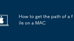 So erhalten Sie den Pfad einer Datei auf einem Mac