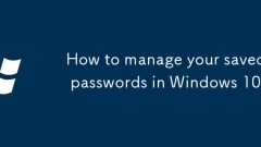 如何在Windows 10中管理保存的密碼
