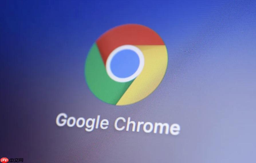 chrome浏览器怎么固定常用的标签页_chrome浏览器固定标签页操作方法