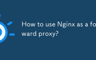Wie benutze ich Nginx als Forward -Proxy?