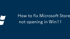 Cara Memperbaiki Kedai Microsoft Tidak Dibuka di Win11