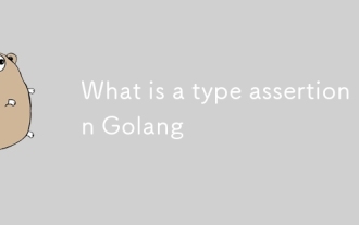 Qu'est-ce qu'une affirmation de type à Golang