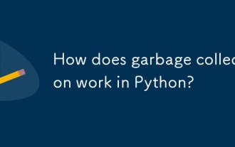 Wie funktioniert die Müllsammlung in Python?
