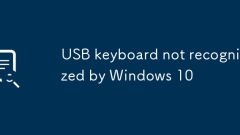 USB 키보드는 Windows 10에서 인식되지 않습니다