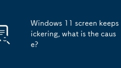 Windows 11 화면은 계속 깜박입니다. 원인은 무엇입니까?