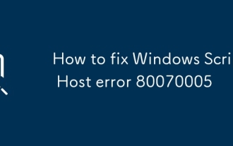 Windowsスクリプトホストエラー80070005を修正する方法