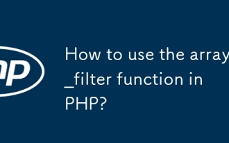 如何在PHP中使用array_filter函數?