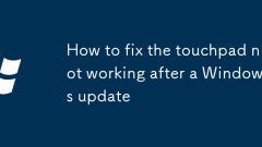 How to fix the touchpad not working after a Windows update