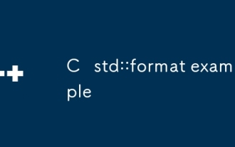 C STD :: Exemple de format