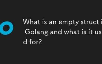 Qu'est-ce qu'une structure vide à Golang et à quoi sert-elle?