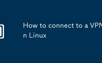 如何连接到Linux中的VPN