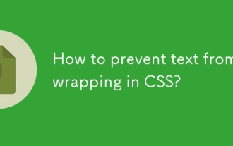 Wie kann ich verhindern, dass Text CSS einwickelt?