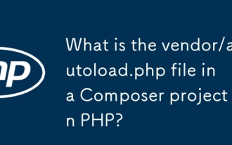 PHP中的作曲家項目中的供應商/autoload.php文件是什麼?