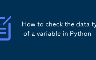 Comment vérifier le type de données d'une variable dans Python
