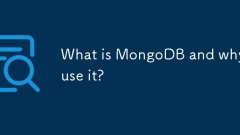 MongoDB 란 무엇이며 왜 그것을 사용합니까?