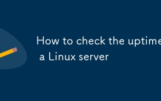 Comment vérifier la disponibilité d'un serveur Linux
