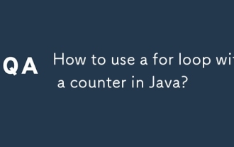 Wie benutze ich eine für Schleife mit einem Zähler in Java?