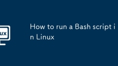 Linux에서 Bash 스크립트를 실행하는 방법