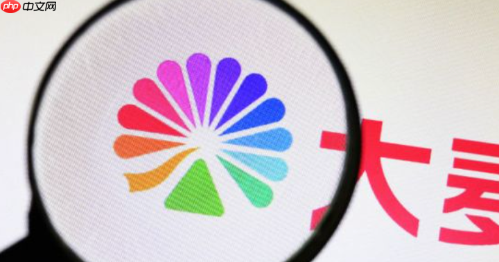 大麦网热门演出购票官网 大麦网票务预订入口平台