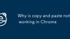 为什么复制和粘贴不在chrome中工作